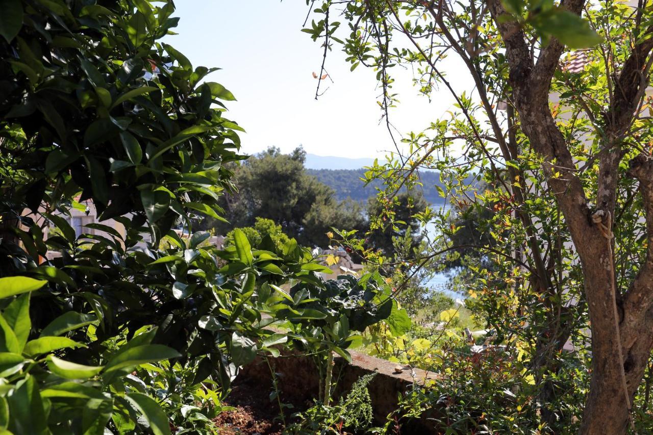 Apartments by the sea Lumbarda, Korcula - 10049 Bagian luar foto